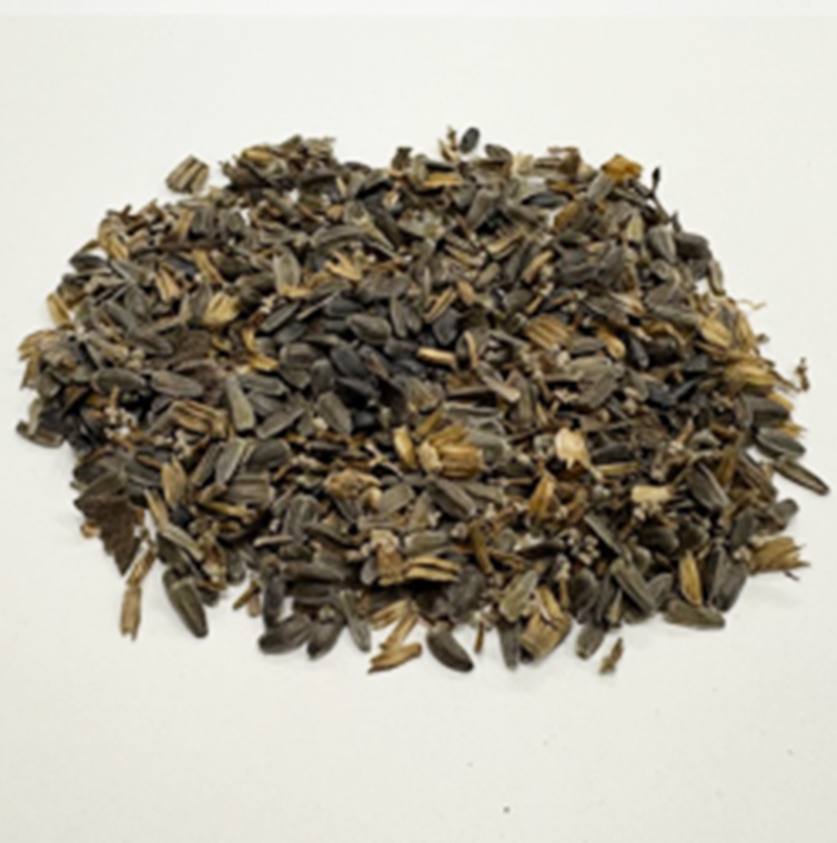 福島ひまわり里親プロジェクト　ひまわりの種の画像